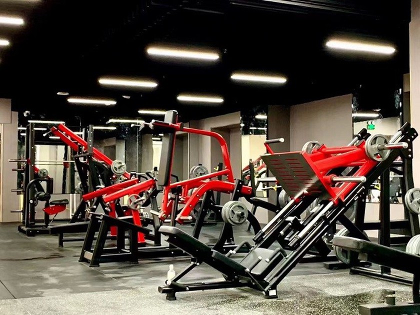 Exercise Bike